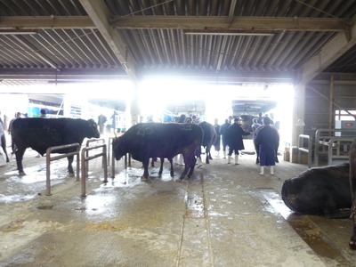 ��Φ����������� 026