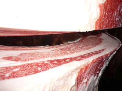 ͥ����5095��ã��