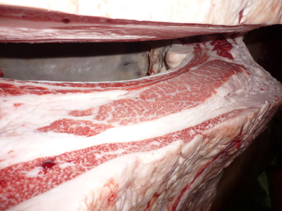 Í¥ÎɾÞ158µÈÀ®Ë®Íº¢