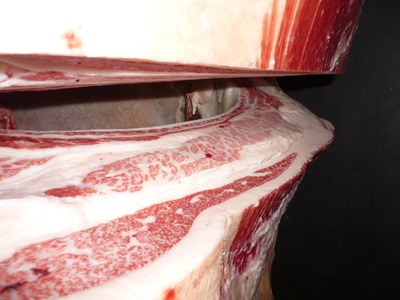 Í¥ÎɾÞ21²ÃÆ£ËÒ¾ì¢