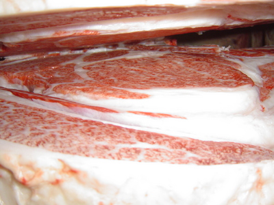 ºÇÍ¥½¨¾Þ¡¡16¸ÅÂôÌÐÏÂ?