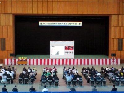 0740be56.jpg