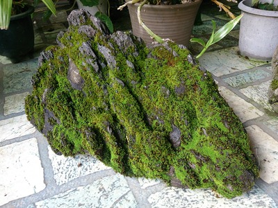 076884d7.jpg