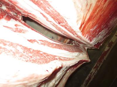 20201106.148���ĭ�