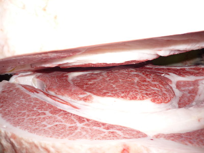 ��ͥ����144��߷�ܻ���