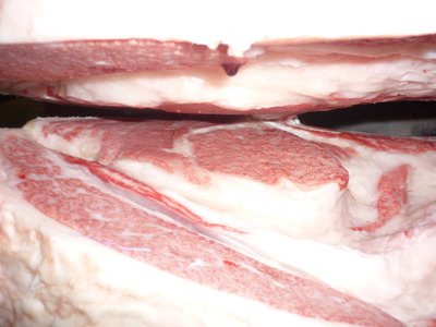 ͥ���ޣ��ʡ�28�������׭�