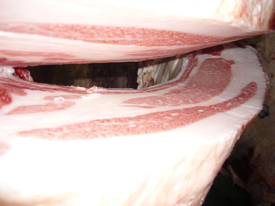 ��ͥ���ޡ�5490������̦��