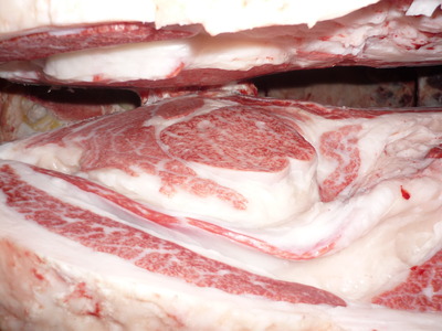 ͥ�ɾޡ�161�����龼��