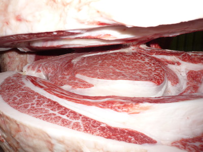 ͥ�ɾޡ�125(ͭ)��ƣ�Ҿ쭡