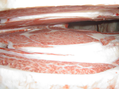 Í¥½¨¾Þ£²ÀÊ¡¡40ÆüËÜÇÀ¶È¸¦µæ½ê?