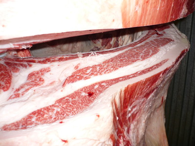 ͥ����1�ʡ�136����������