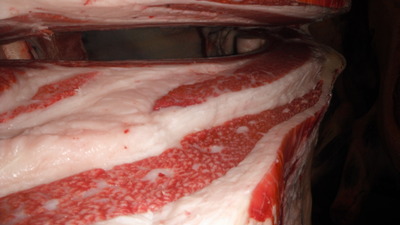 ͥ�ɾޡ�151��ƣ��