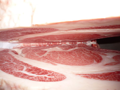 ͥ���ޣ���065��ƣ���ﭡ