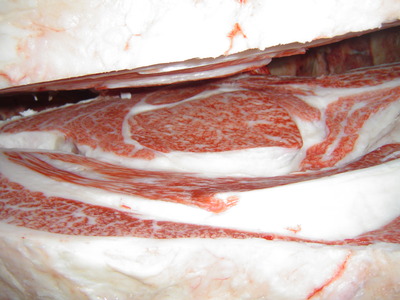 ͥ������02