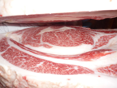 ͥ����1�ʡ�140��ƣδ�׭�