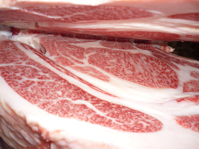 ͥ���ޣ��ʡ�06��ƣ��ɧ��