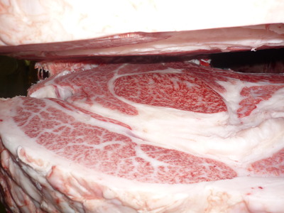 Í¥½¨¾Þ£±ÀÊ¡¡059¶áÆ£¾»É§¡