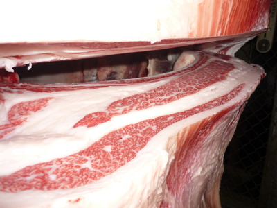 ͥ�ɾޡ�113�������쭢