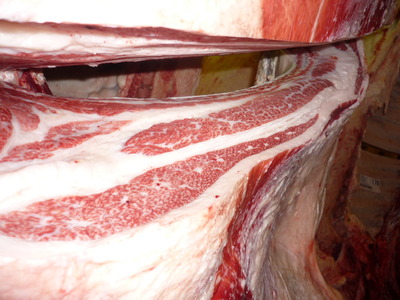 ͥ�ɾޡ�171�Ṿ�Ҿ쭢