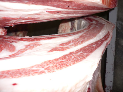 ͥ���ޣ��ʡ�������ĸ������쭢