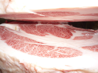 ��ͥ���ޡ�5490������̦��