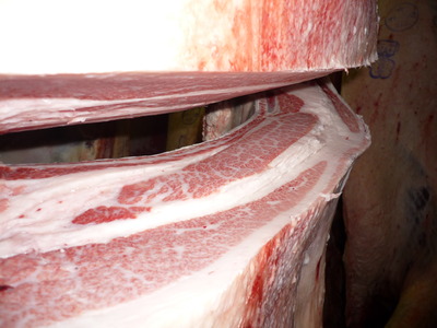 ͥ����1��145��߷�ܻ���