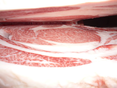 ͥ���ޣ��ʡ�4133��¼����