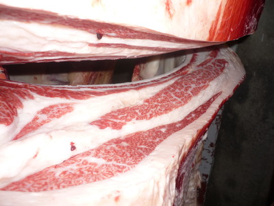 Í¥Îɾޡ¡076²ÃÆ£ËÒ¾ì¢