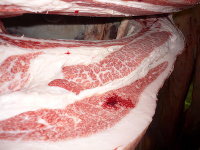 Í¥ÎɾÞ154ÀÐùõ¶Ñ¢