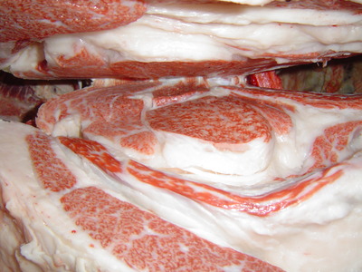 ͥ����5�ʡ����ڡ����ڭ�