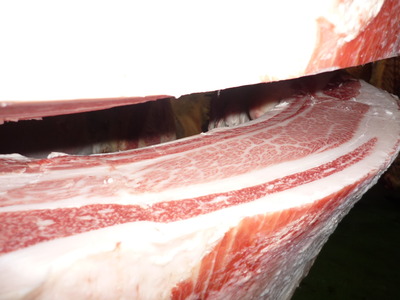 ̾ÍÀ¾Þ5197ÎëÌÚÈË¢