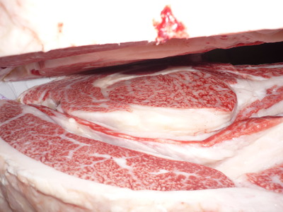 109��ͥ�ɾޡ��������­�