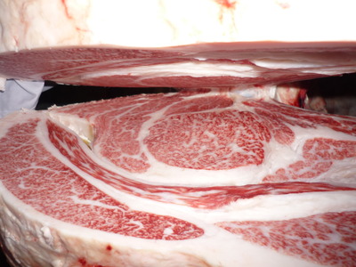 ºÇÍ¥½¨¾Þ159±§ÅÔÌÚ¹§¹À¡