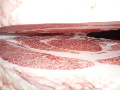 1Åù¾Þ1ÀÊ¡¡55Àкê¶Ñ¡