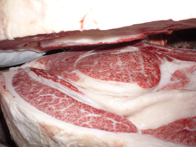 Í¥Îɾޡ¡083ËÈÅÄËÒ¾ì¡