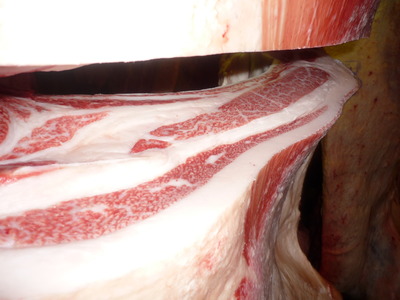 ͥ����1�ʡ�140��ƣδ�׭�