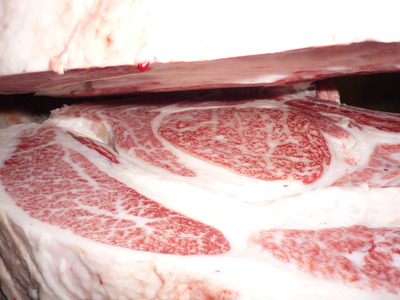 Í¥ÎɾÞ079¸ÅÂôÃÜ»º¡