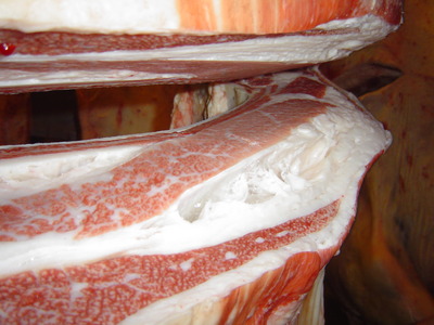 ��ͥ��6����