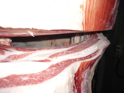ͥ�ɾޡ�41�����ҭ�