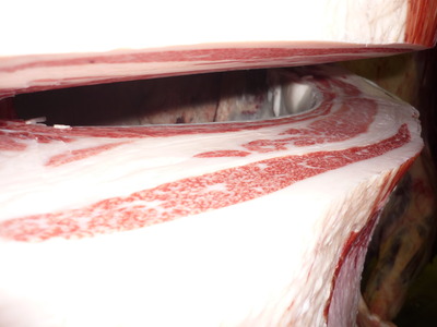 ͥ���ޣ��ʡ�4146�����ٻ��׭�