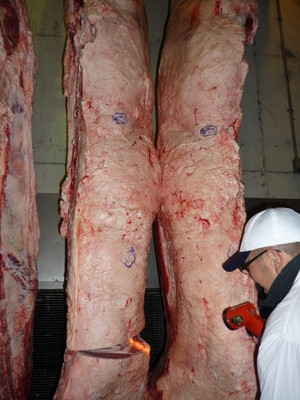 ̾ÍÀ¾Þ¡¡074²ÃÆ£ËÒ¾ì¤