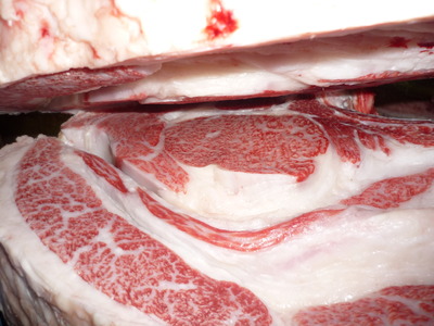 ͥ�ɾ�140�һ��쭡