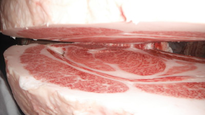 011����(ͥ����4��)��