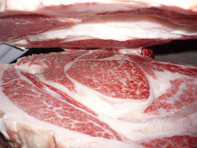 Í¥ÎɾÞ158µÈÀ®Ë®Íº¡