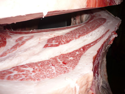 107����ƣ�Ҿ쭢