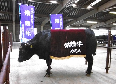 ��ƣ�Ҿ졦���έ�