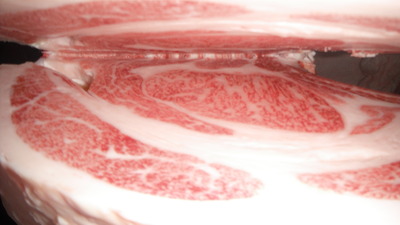 020�߳�(ͥ�ɾ�)��