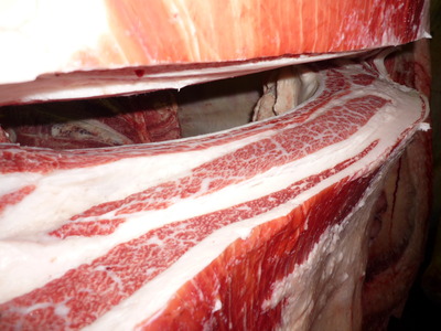 ͥ�ɾ�140�һ��쭢