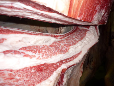 Í¥½¨¾Þ£±ÀÊ141±§ÅÔÌÚ¹§¹À¢