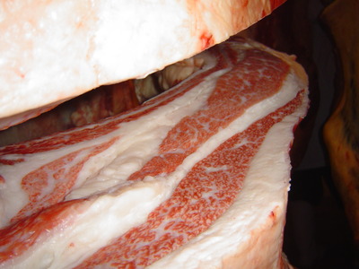 ͥ��2�ʱ�ë3